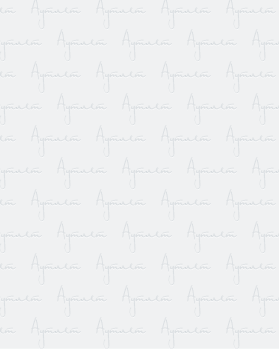 Купить AMAZON Summer mix#20 кг оптом в Вологде и Вологодской области