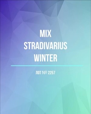 Купить STRADIVARIUS Winter mix#15 кг, ЛОТ №2257 оптом в Вологде и Вологодской области