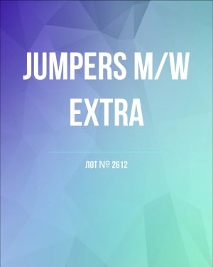 Купить Джемпер муж+жен экстра#15 кг , Лот№2612 оптом в Вологде и Вологодской области