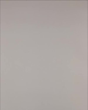 Фотография  975 - Нижнее белье Bon Prix дети#50 шт, ЛОТ №3242 оптом в Вологде и Вологодской области