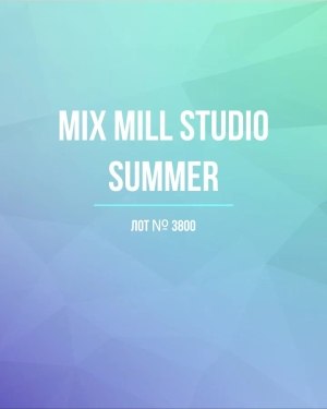 Купить MILL STUDIO Summer mix#15 кг, ЛОТ №3800 оптом в Вологде и Вологодской области