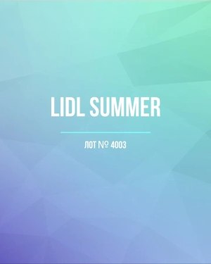 Купить LIDL Summer#20 кг, ЛОТ №4003 оптом в Вологде и Вологодской области