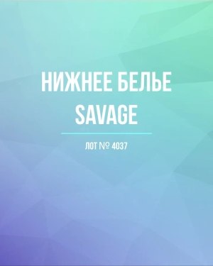 Купить Нижнее белье Savage, 50 шт, ЛОТ №4037 оптом в Вологде и Вологодской области