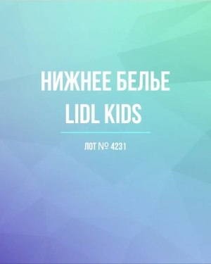 Купить Нижнее белье LIDL Kids#5 кг, ЛОТ №4231 оптом в Вологде и Вологодской области