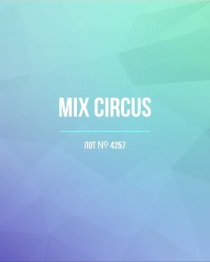 Купить CIRCUS mix #13 кг, ЛОТ №4257 оптом в Вологде и Вологодской области