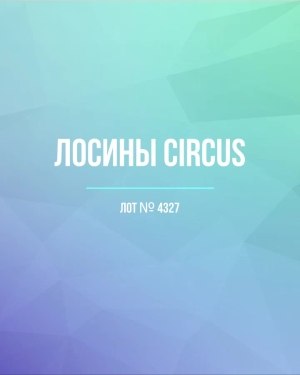 Купить Лосины CIRCUS #6,2 кг, ЛОТ №4327 оптом в Вологде и Вологодской области