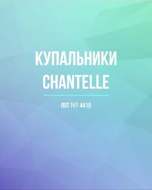 Купить Купальники Chantelle#30 шт, ЛОТ №4410 оптом в Вологде и Вологодской области