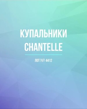 Купить Купальники Chantelle#23 шт, ЛОТ №4412 оптом в Вологде и Вологодской области