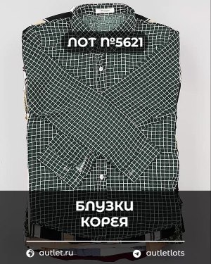 Купить Блузки Корея#20 шт, ЛОТ №5621 оптом в Вологде и Вологодской области