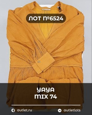 Купить YA YA 062024#39 шт, ЛОТ №6524 оптом в Вологде и Вологодской области