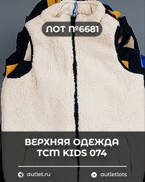 Купить Верхняя одежда TCM kids 074#7 кг, ЛОТ №6681 оптом в Вологде и Вологодской области