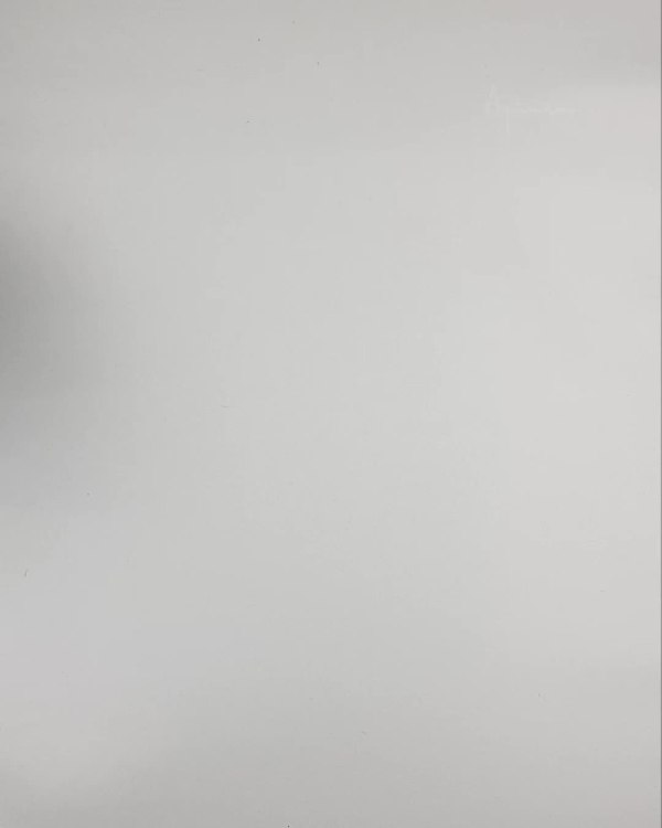 Фотография  312 - Верхняя одежда Дания#10,2 кг ЛОТ №6911 оптом в Вологде и Вологодской области