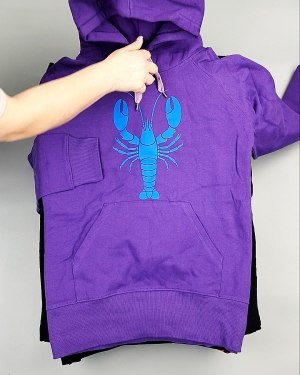 Фотография 180 - Толстовки м/ж (Sweat Tops)#20 кг, ЛОТ №7431 оптом в Вологде и Вологодской области