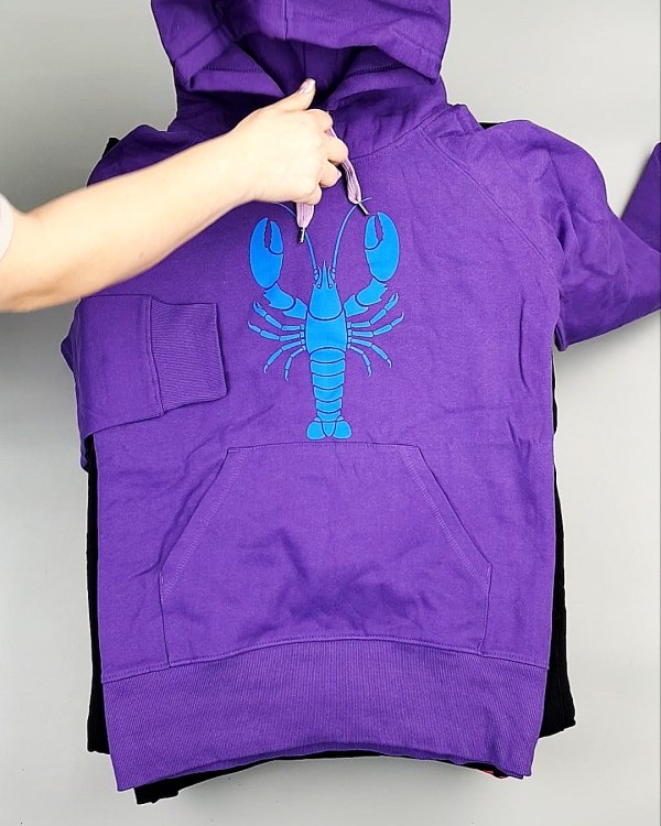 Фотография  893 - Толстовки м/ж (Sweat Tops)#20 кг, ЛОТ №7431 оптом в Вологде и Вологодской области