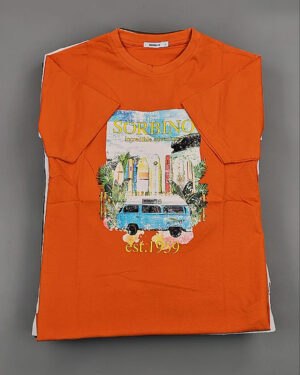 Купить Футболки мужские C-3141 (MEN T-shirt Sorbino) #4,8 кг оптом в Вологде и Вологодской области